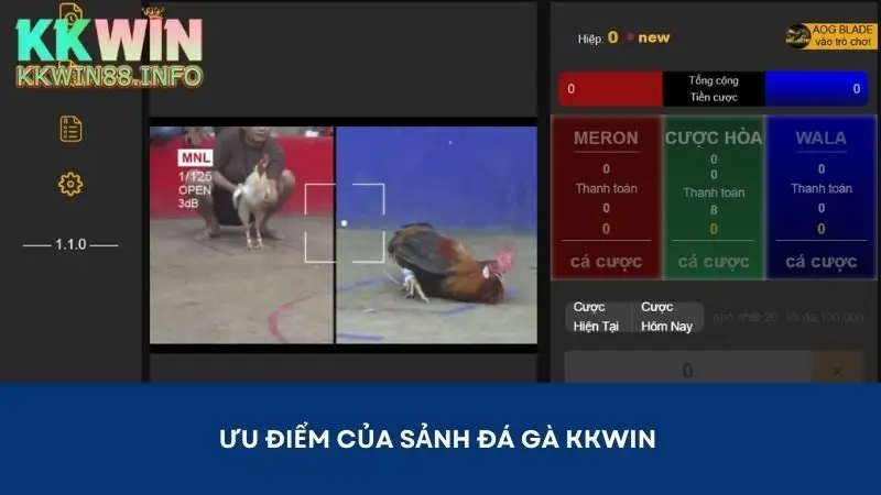 Danh mục đá gà Kkwin hội tụ nhiều ưu điểm nổi bật