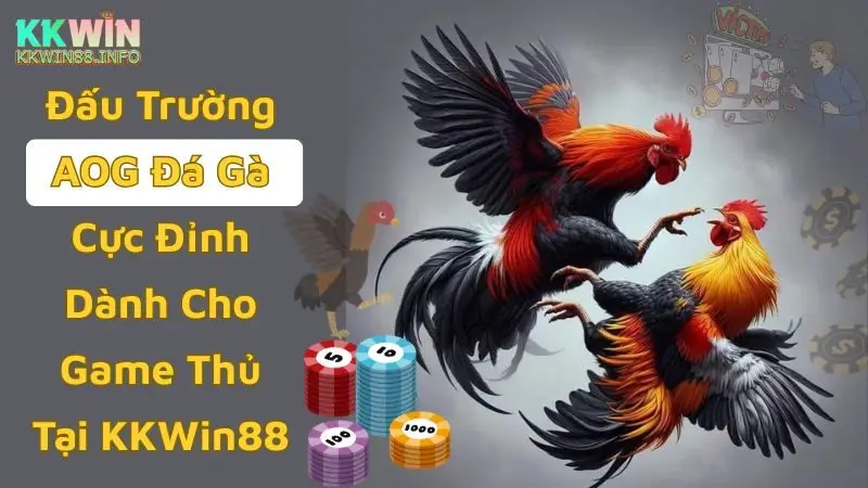 AOG đá gà