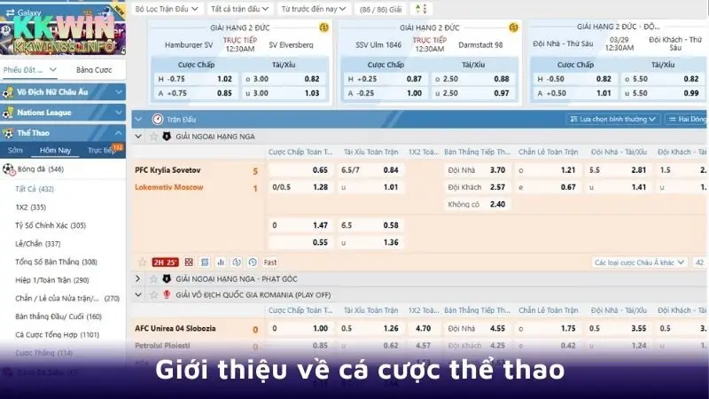 Giới thiệu về cá cược thể thao