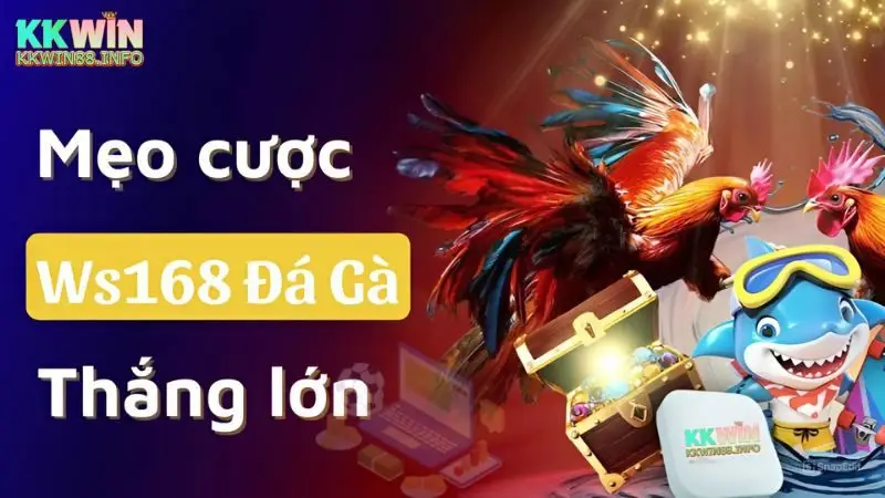 Ws168 đá gà