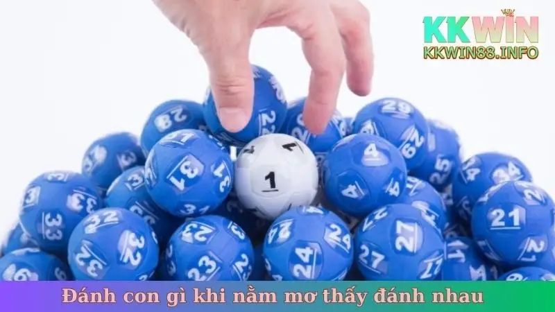 Đánh con gì khi nằm mơ thấy đánh nhau